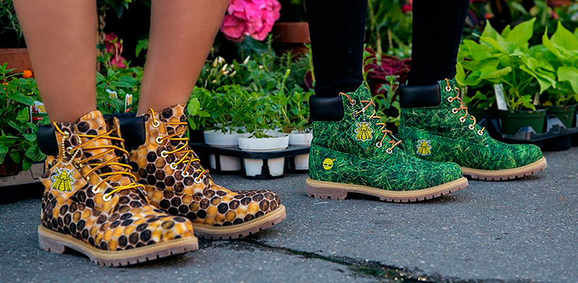 Коллаборация Фаррелла Уильямса с Timberland