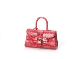 ЭКЗОТИКА Delvaux